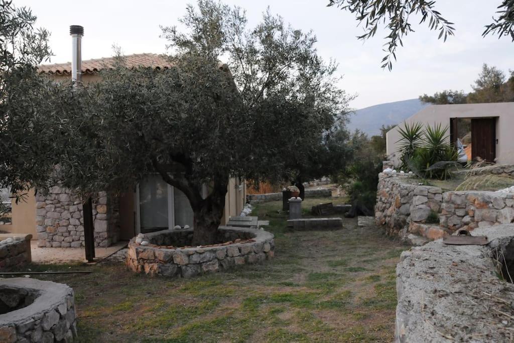 דירות Thebes Melolia Estate חדר תמונה